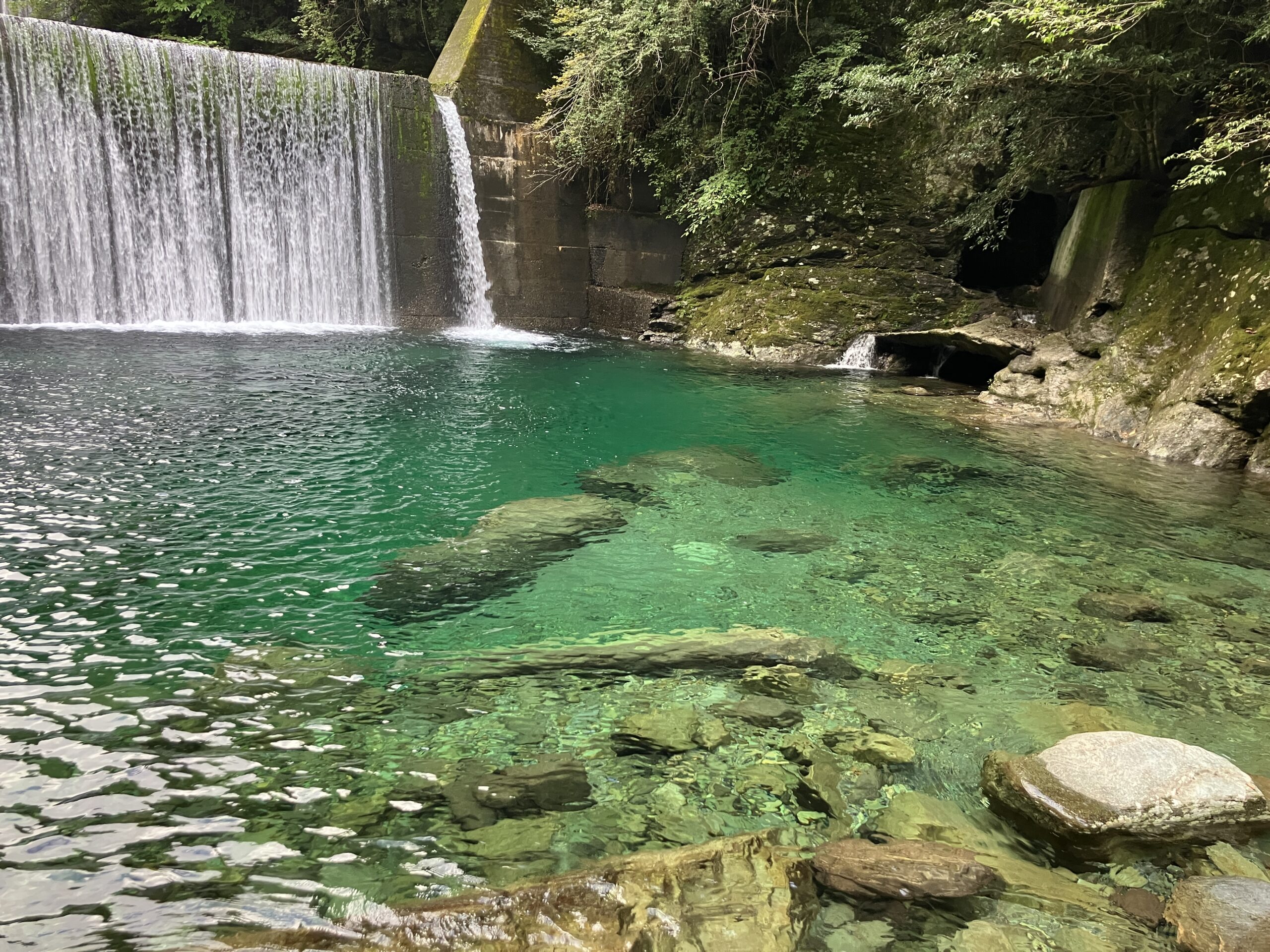 一生に一回は高知県旅行へ！